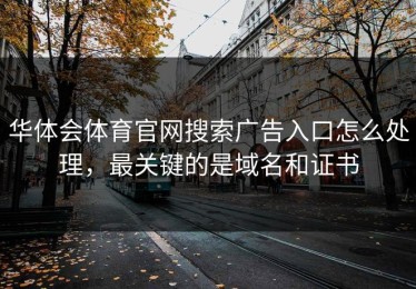 华体会体育官网搜索广告入口怎么处理，最关键的是域名和证书