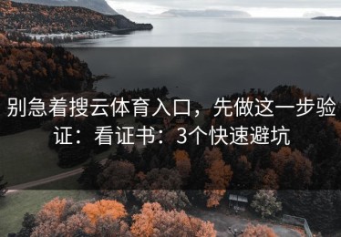 别急着搜云体育入口，先做这一步验证：看证书：3个快速避坑