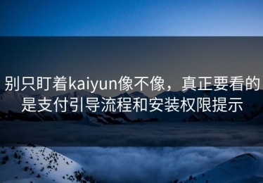 别只盯着kaiyun像不像，真正要看的是支付引导流程和安装权限提示