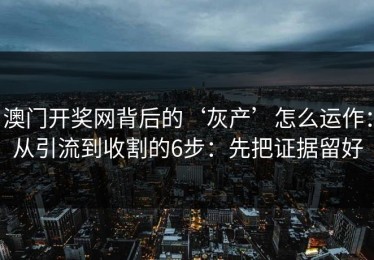澳门开奖网背后的‘灰产’怎么运作：从引流到收割的6步：先把证据留好