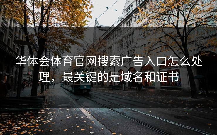 华体会体育官网搜索广告入口怎么处理,最关键的是域名和证书 华体会体育官网搜索广告入口怎么处理,最关键的是域名和证书