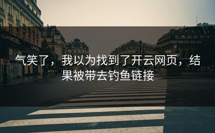 气笑了，我以为找到了开云网页，结果被带去钓鱼链接