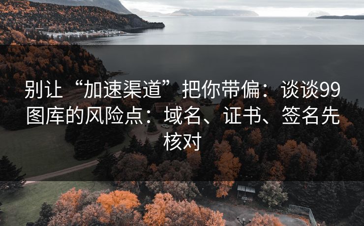 别让“加速渠道”把你带偏：谈谈99图库的风险点：域名、证书、签名先核对