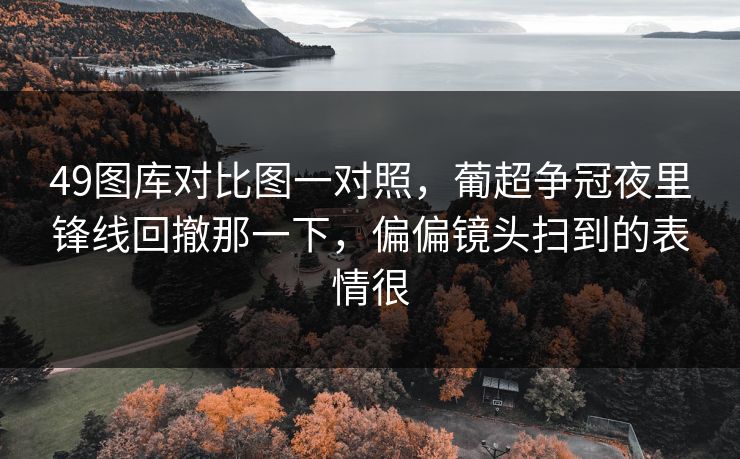 49图库对比图一对照,葡超争冠夜里锋线回撤那一下,偏偏镜头扫到的表情很 49图库对比图一对照,葡超争冠夜里锋线回撤那一下,偏偏镜头扫到的表情很