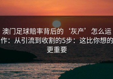 澳门足球賠率背后的‘灰产’怎么运作：从引流到收割的5步：这比你想的更重要