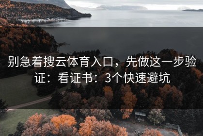 别急着搜云体育入口，先做这一步验证：看证书：3个快速避坑