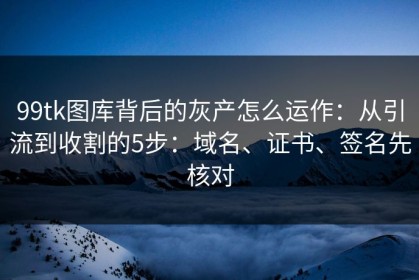 99tk图库背后的灰产怎么运作：从引流到收割的5步：域名、证书、签名先核对